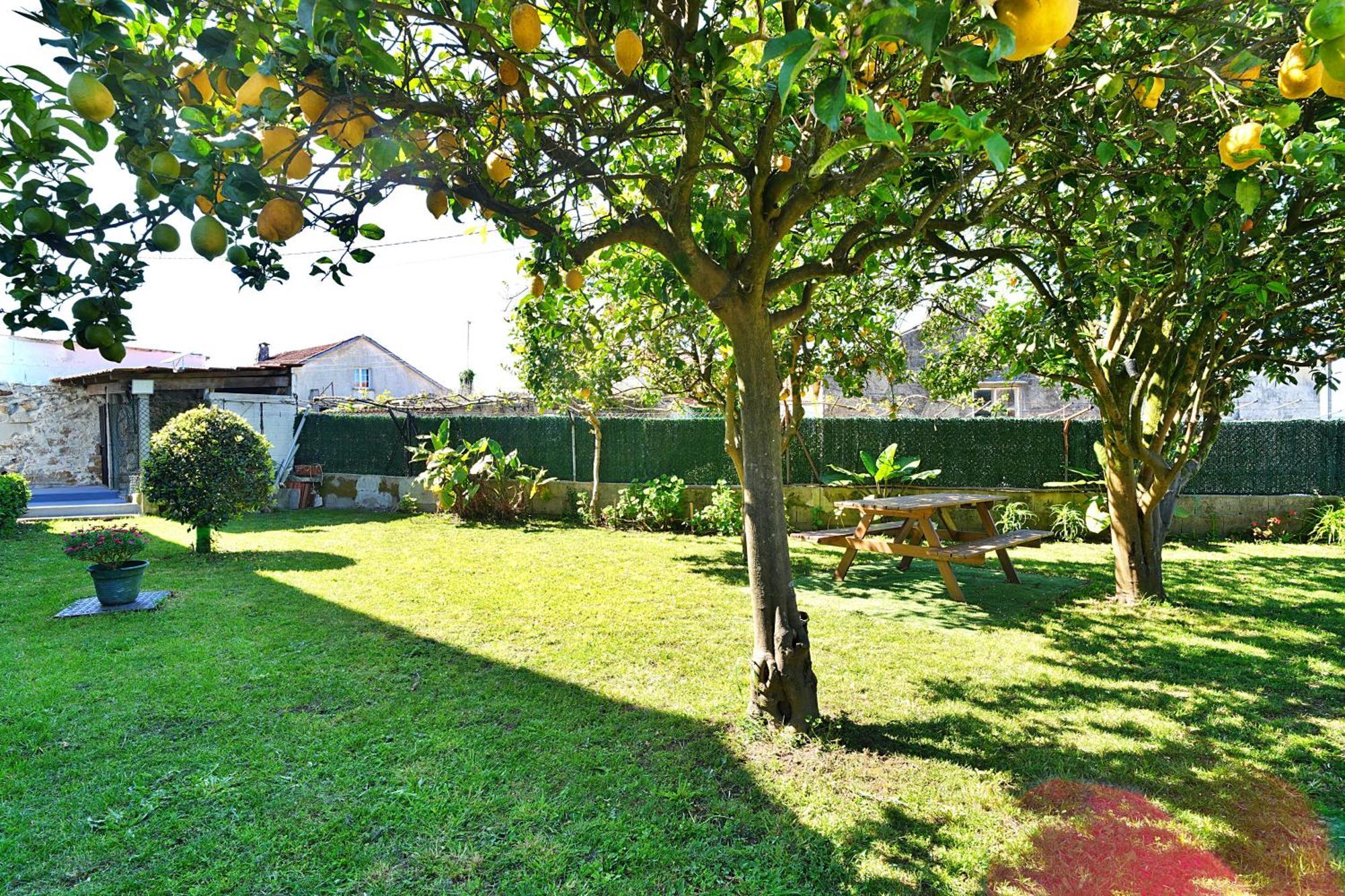Casa con jardín en Vilanova de Arousa Pontevedra Exterior foto